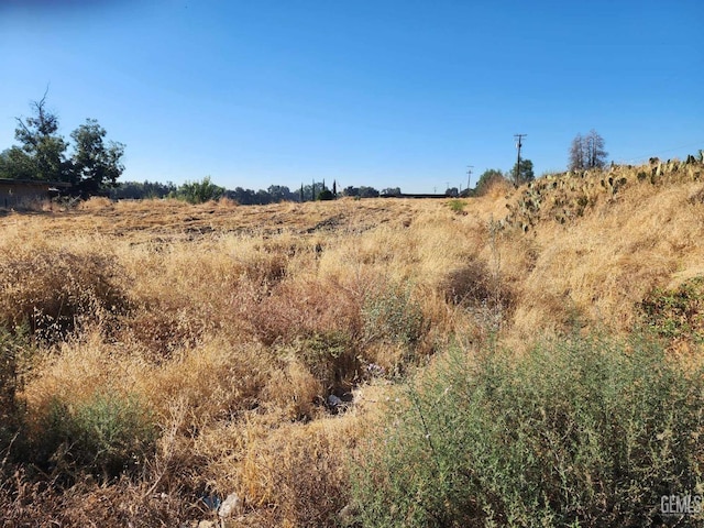 17689 Manning Ave, Reedley, CA 93654 - photo 10