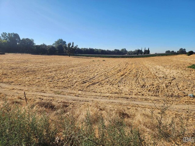 17689 Manning Ave, Reedley, CA 93654 - photo 7