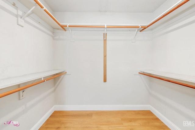 9812 Marilee Ave, Bakersfield, CA 93312 - spacious closet with light wood-type flooring