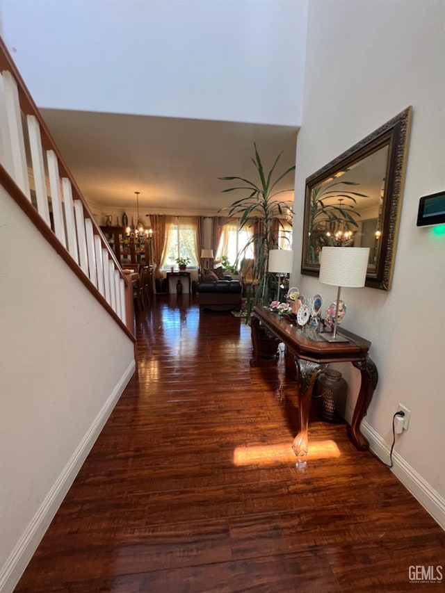 corridor with dark hardwood / wood-style flooring and a chandelier