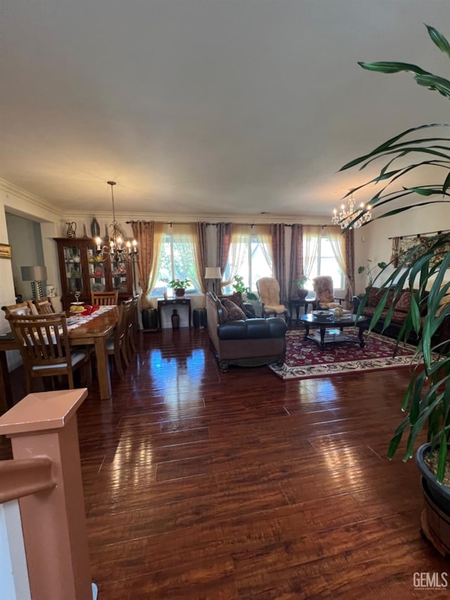 living room with ornamental molding, dark hardwood / wood-style floors, and a notable chandelier