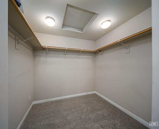 9029 Midnight Creek Way, Bakersfield, CA 93311 - walk in closet featuring carpet and attic access