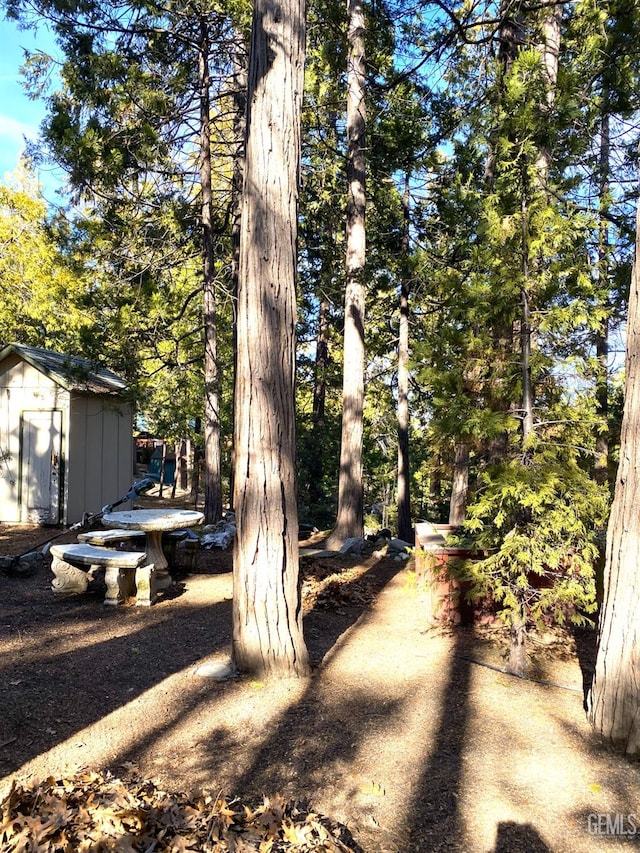 view of yard with an outdoor structure and a shed