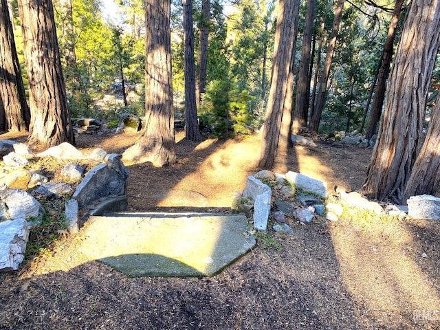 41693 Corlew Ln, Auberry, CA 93602 - photo 42