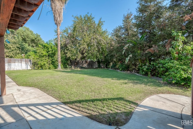 view of yard featuring a patio area