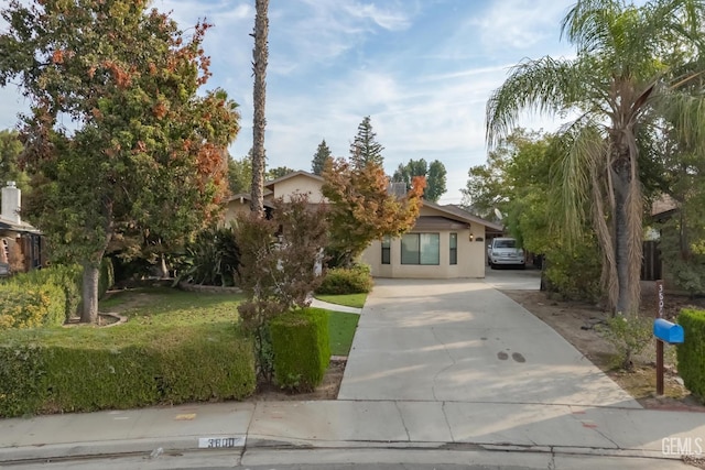 view of property hidden behind natural elements with a front lawn