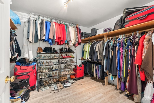 walk in closet featuring wood-type flooring