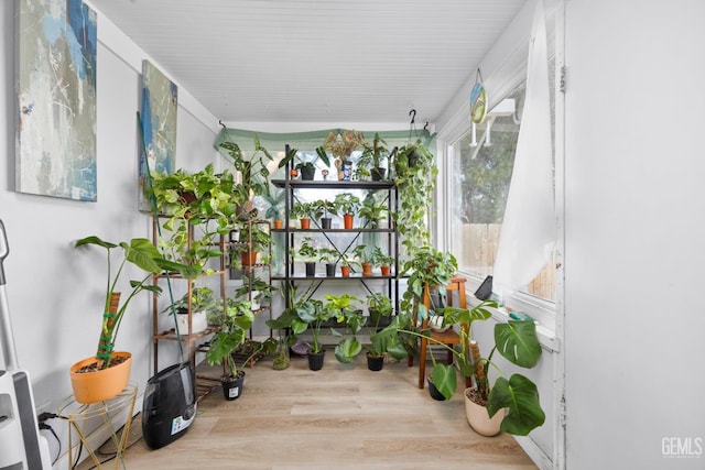 339 Ray St, Bakersfield, CA 93308 - sunroom featuring wood finished floors