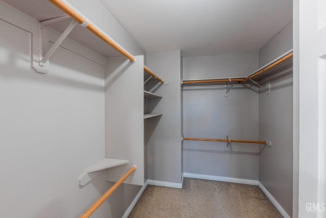 walk in closet featuring carpet floors