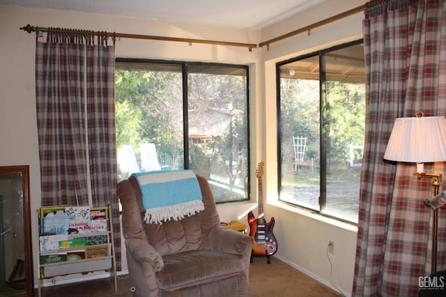 living area featuring carpet flooring and plenty of natural light