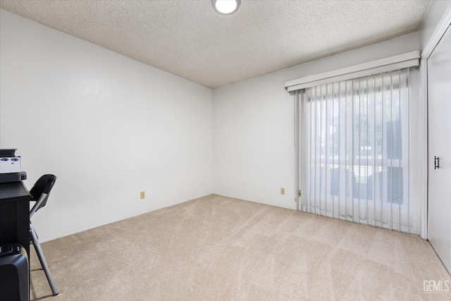 home office featuring a textured ceiling and light colored carpet