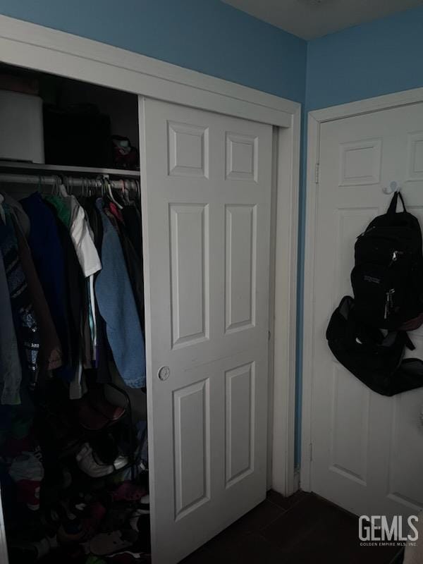 6009 Georgia Pine Way, Bakersfield, CA 93313 - view of closet