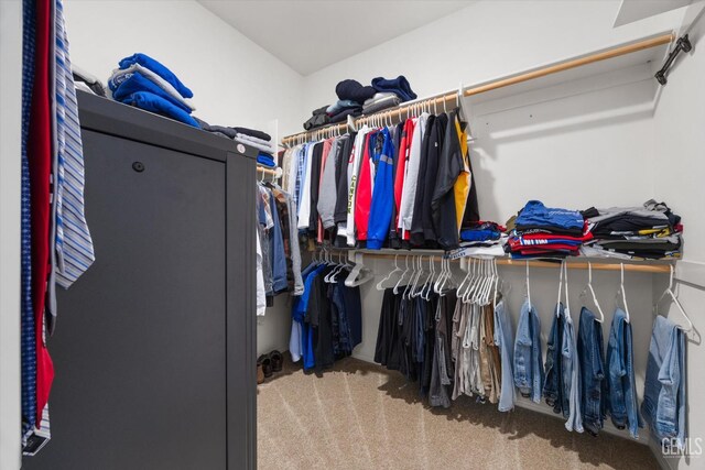 28537 Vista Del Rio Dr, Valencia, CA 91354 - spacious closet featuring carpet flooring