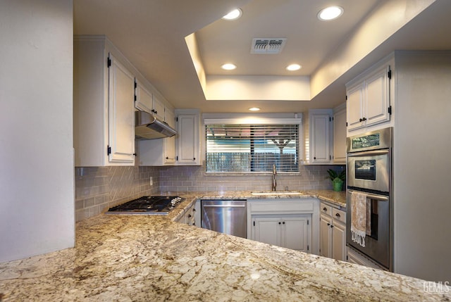 9604 Lea Oak Rd, Bakersfield, CA 93311 - kitchen with appliances with stainless steel finishes, a sink, under cabinet range hood, backsplash, and recessed lighting