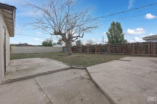 view of yard featuring a patio