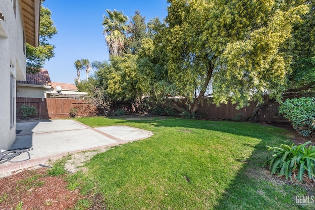 view of yard featuring a patio area