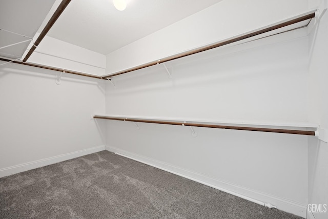 spacious closet with carpet