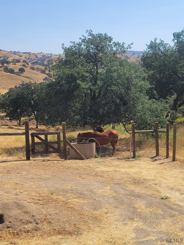 view of yard featuring a rural view