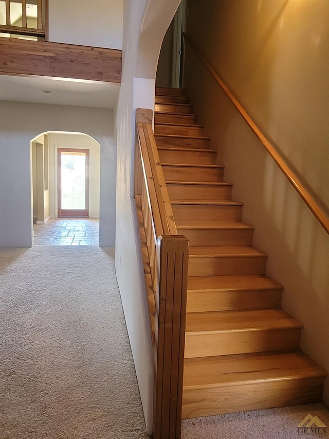 stairway featuring carpet