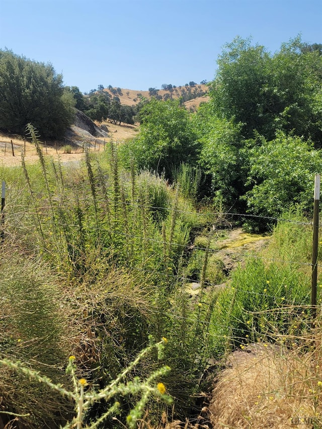 view of local wilderness with a rural view