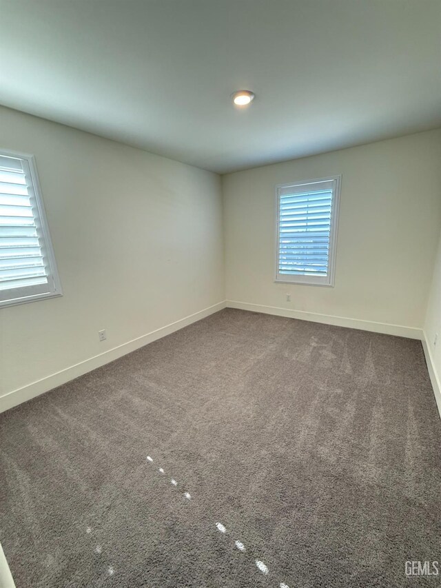 carpeted empty room with healthy amount of natural light and baseboards