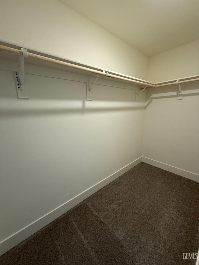 walk in closet with dark colored carpet