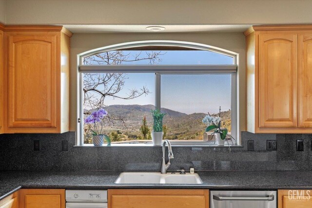 kitchen featuring stainless steel dishwasher, a sink, and a wealth of natural light