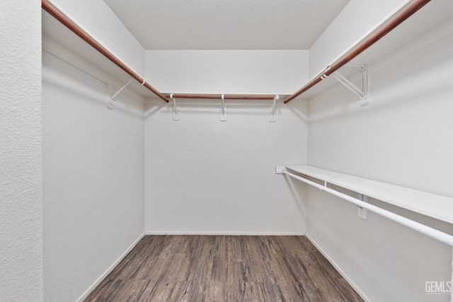 spacious closet featuring dark wood-type flooring