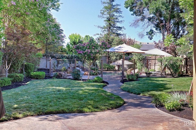 1881 Richert Ave, Clovis, CA 93611 - view of yard