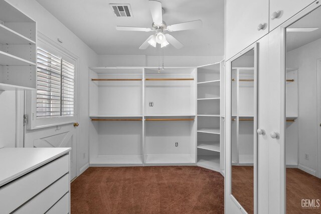 1191 Edmund St, Bakersfield, CA 93309 - spacious closet with dark carpet and ceiling fan