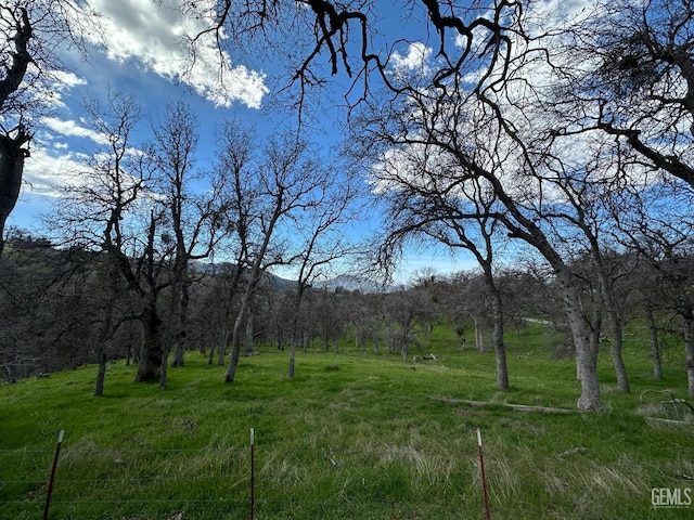 view of landscape