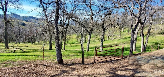 view of home's community featuring a mountain view