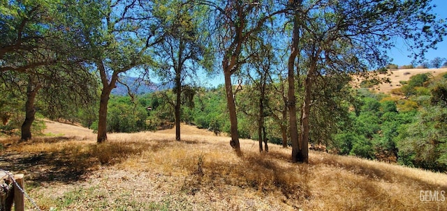 view of landscape