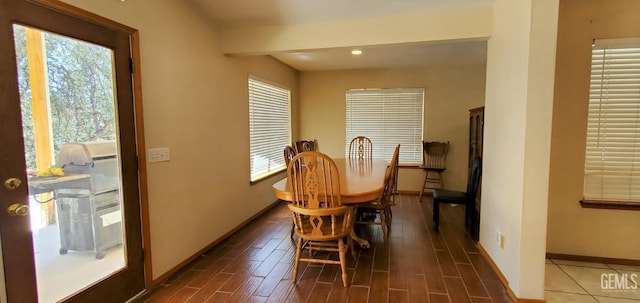 dining area featuring a healthy amount of sunlight