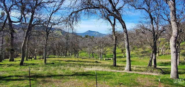 property view of mountains