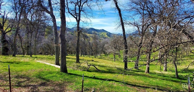 view of mountain feature