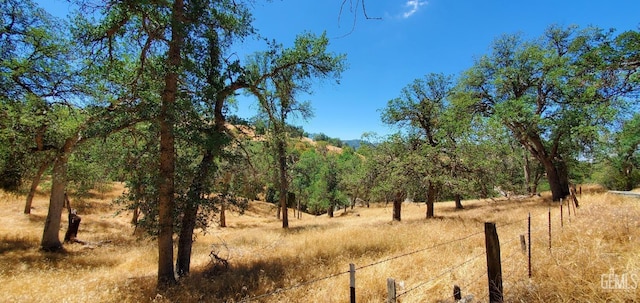 view of landscape with a rural view