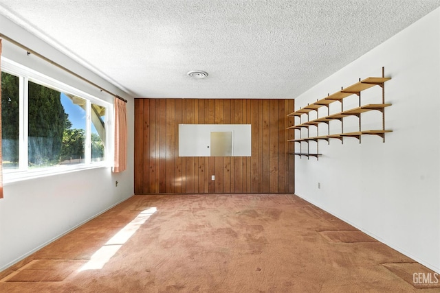 700 Mulberry St, Tehachapi, CA 93561 - carpeted spare room featuring wooden walls and a textured ceiling