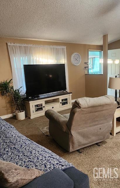 carpeted living room with a textured ceiling