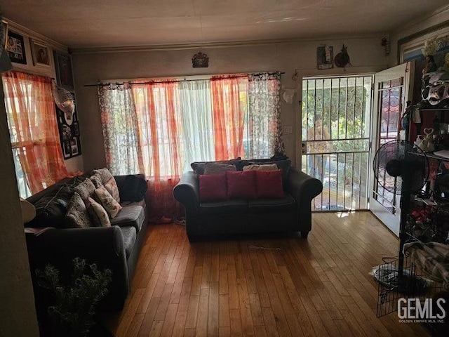 living room featuring wood-type flooring and crown molding