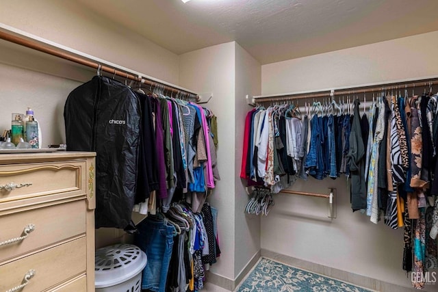 view of walk in closet