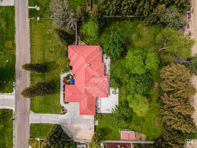 aerial view