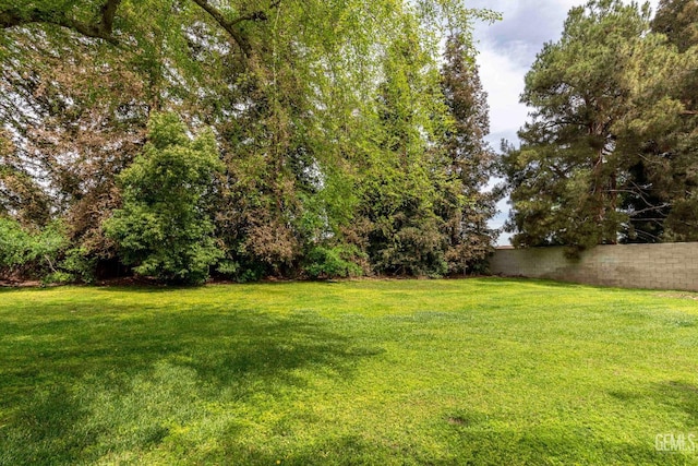 view of yard featuring fence