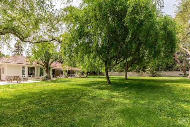 view of yard with a patio area