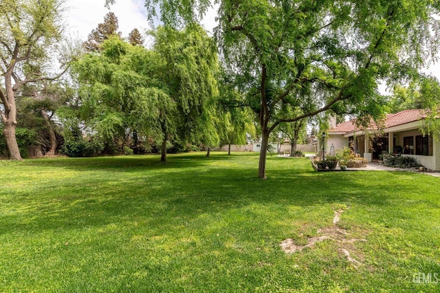 view of yard