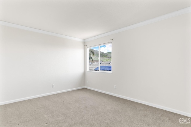 spare room with carpet floors and ornamental molding