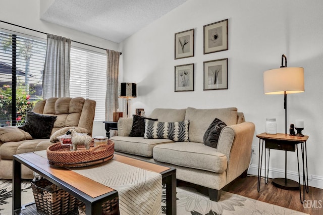 2316 Gosford Rd Unit R, Bakersfield, CA 93309 - living area with wood finished floors, a textured ceiling, and lofted ceiling