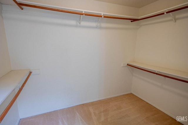 walk in closet featuring light colored carpet