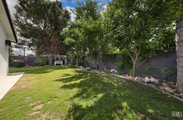 10505 Finchley Dr, Bakersfield, CA 93311 - view of yard