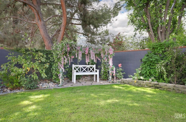 10505 Finchley Dr, Bakersfield, CA 93311 - view of yard